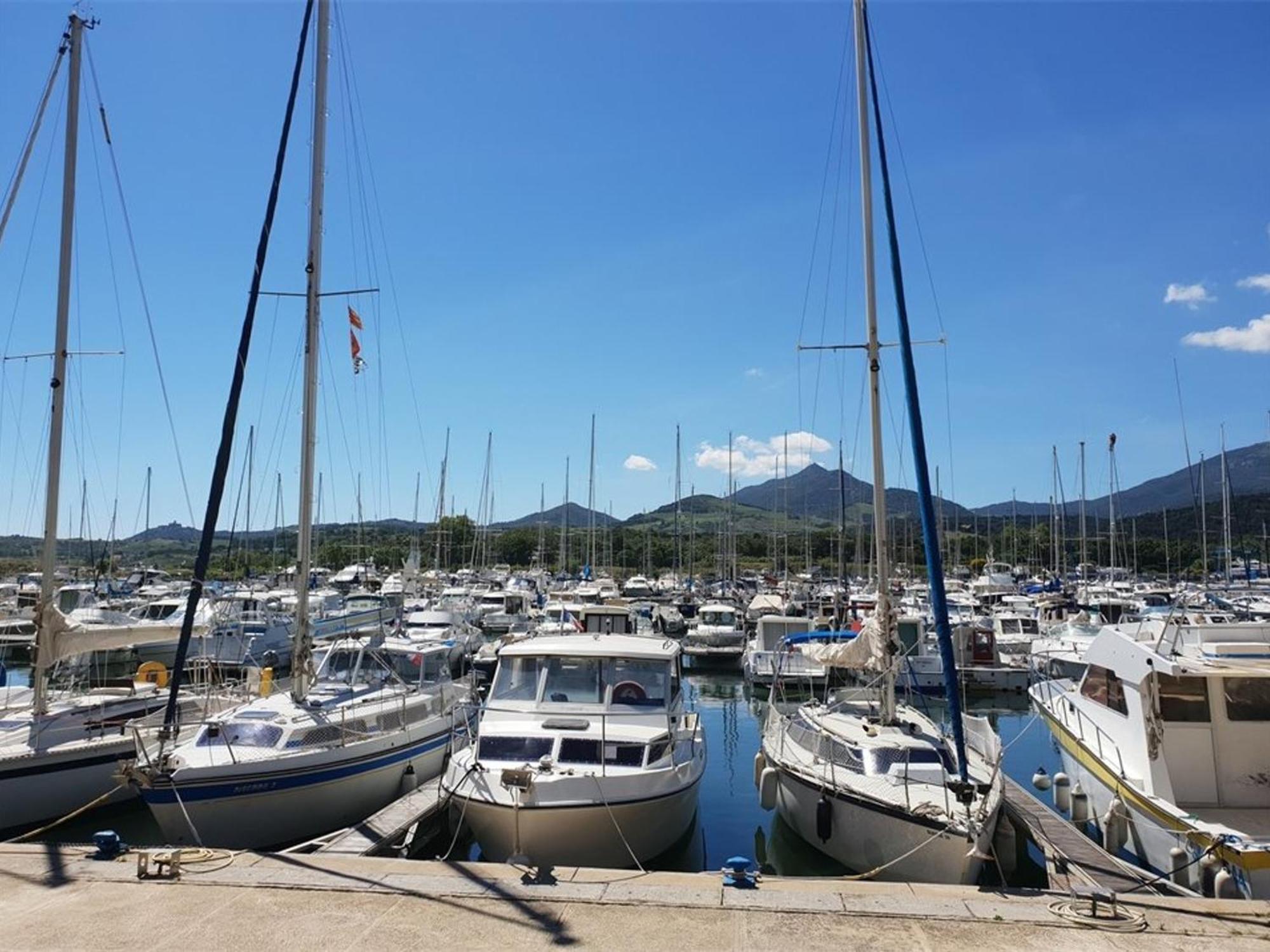 Appartement Climatise A Argeles-Sur-Mer Avec Parking - 4 Couchages - Fr-1-388-52 Bagian luar foto